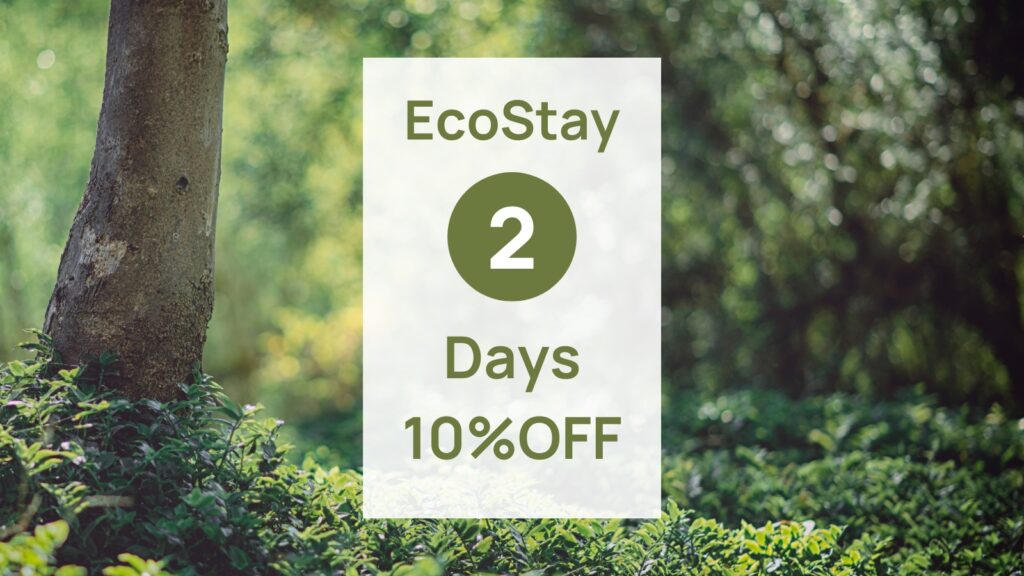 2連泊割10%OFF！環境に優しく旅するエコステイ